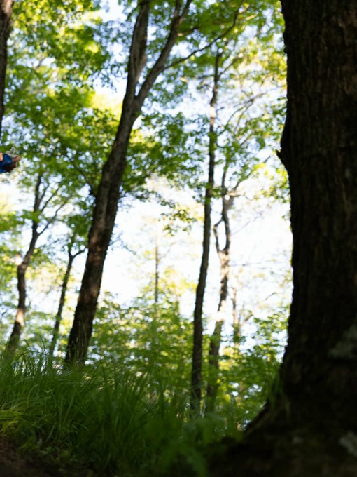 trail